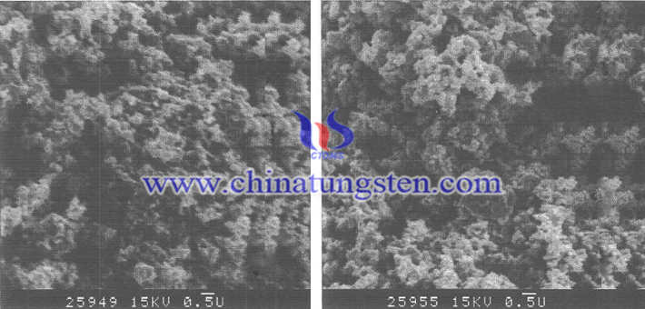 採(cǎi)用紫鎢和藍(lán)鎢制得的WC粉末形貌相圖片
