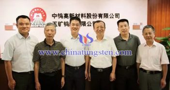 中國鎢協(xié)丁學(xué)全會(huì)長到中鎢高新調(diào)研指導(dǎo)工作