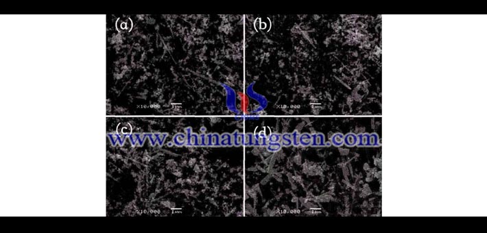 在N2氣氛不同溫度下熱處理30mins的氟摻銫鎢青銅的SEM圖
