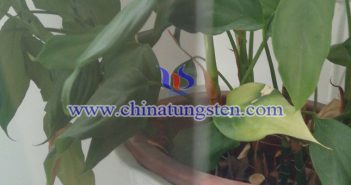 電致變色材料:WO3 電致變色材料:WO3圖片