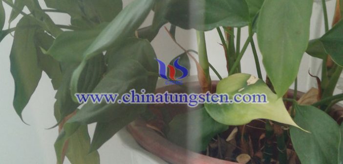 電致變色材料：WO3圖片