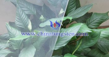 電致變色靈巧窗:WO3薄膜 電致變色靈巧窗:WO3薄膜圖片