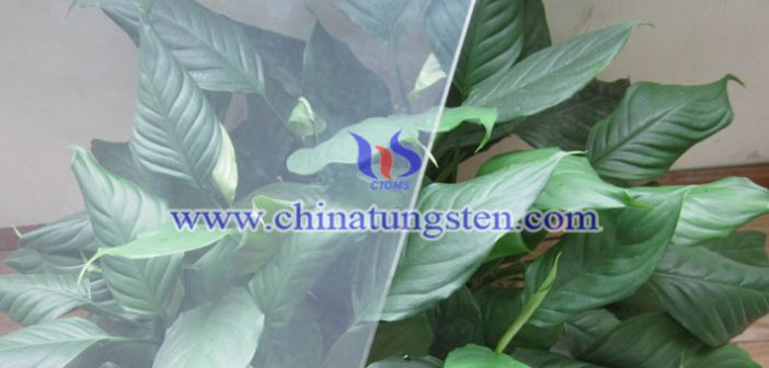 電致變色靈巧窗：WO3薄膜圖片