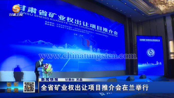 甘肅省礦業(yè)權(quán)出讓專案推介會(huì)在蘭州舉行，甘肅衛(wèi)視