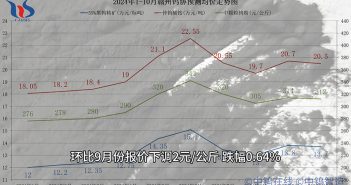 2024年10月贛州鎢協(xié)預(yù)測均價(jià)與上半月各大型鎢企長單報(bào)價(jià)