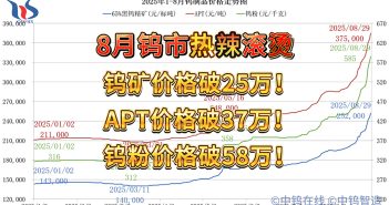 2025年1月-8月29日鎢製品價格走勢