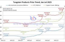 Tungsten Price Trend from January to July 29, 2025