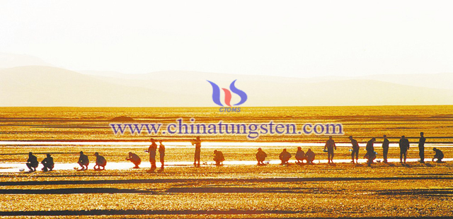 金色晨曲。清晨，戰(zhàn)友們?cè)跍咸吝呄词螐V臣 攝