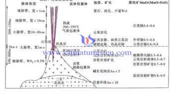 脈型鎢礦床找礦預(yù)測地質(zhì)模型
