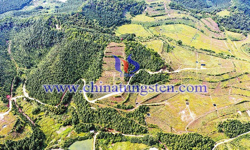 滴水龍廢棄稀土礦山復(fù)綠全景航拍
