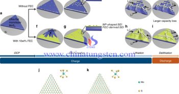 二硫化鉬鋰離子電池超薄固體電解質(zhì)相膜演化及起皺過程 單層二硫化鉬電極結(jié)構(gòu)演變和反應(yīng)機(jī)理示意圖