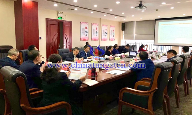 國務院發(fā)展研究中心宏觀經(jīng)濟研究部副研究員江宇博士通過視頻作報告