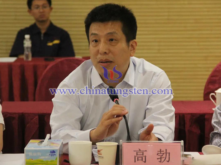 中國(guó)鎢業(yè)協(xié)會(huì)主席團(tuán)主席、中鎢高新材料股份有限公司副總經(jīng)理高勃