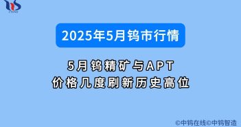 2025年5月鎢價(jià)行情如何